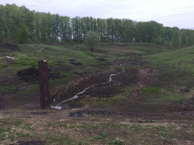 Тамбовская область, старый пруд 0.76 га. Востановление - IMG_8126.JPG