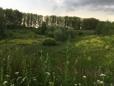 Вид с дамбы. - IMG_4948.JPG (236.65 КБ) 3850 просмотров Вид с дамбы. - IMG_4948.JPG