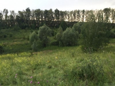Вид с боку - IMG_4956.JPG (194.38 КБ) 3850 просмотров Вид с боку - IMG_4956.JPG