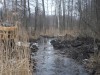 пруд 3 га - превращение из поля в водоем Или как бобры помогли в этом - Вода бурным потоком уходит в озеро через перешеек.JPG