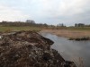 пруд 3 га - превращение из поля в водоем Или как бобры помогли в этом - SAM_0279.JPG