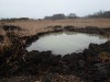 Родниковый пруд, или как случайно получить пруд с голубой водой - Как при копке плотины пробили водоносный слой. начало. Второй день 1.JPG (139.32 КБ) 16881 просмотр Родниковый пруд, или как случайно получить пруд с голубой водой - Как при копке плотины пробили водоносный слой. начало. Второй день 1.JPG