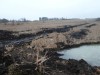 Родниковый пруд, или как случайно получить пруд с голубой водой - Как при копке плотины пробили водоносный слой. начало. Второй день4.JPG (166.72 КБ) 16881 просмотр Родниковый пруд, или как случайно получить пруд с голубой водой - Как при копке плотины пробили водоносный слой. начало. Второй день4.JPG