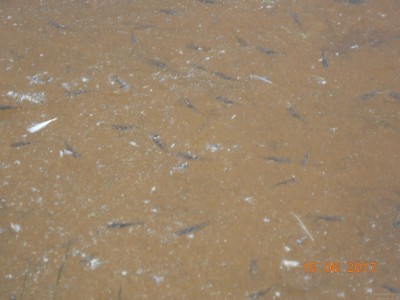 DSCN2253.JPG