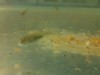 IMG_20161103_182205.jpg