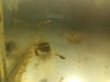IMG_20161103_182712.jpg