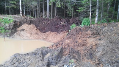 Пруд долго строй, 8-10 соток для души. - IMG_20170626_145327.jpg