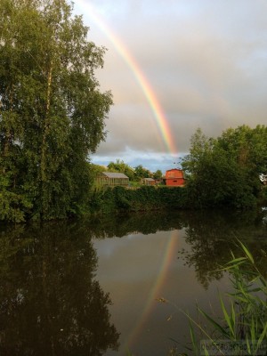 Дачный рыбовод. - IMG_2548.JPG