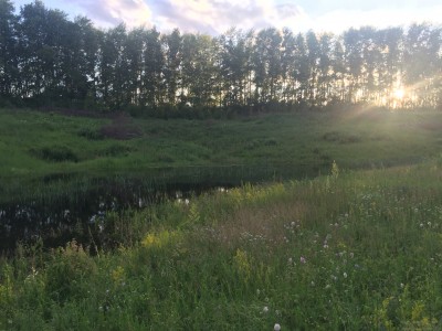 Тамбовская область, старый пруд 0.76 га. Востановление - IMG_8727.JPG (251.75 КБ) 3727 просмотров Тамбовская область, старый пруд 0.76 га. Востановление - IMG_8727.JPG