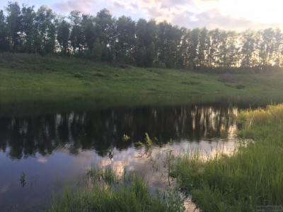 Тамбовская область, старый пруд 0.76 га. Востановление - IMG_8731.JPG