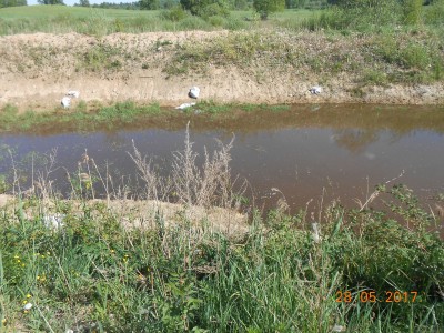 Удобрение прудов - DSCN2172.JPG