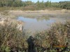 DSCN2511.JPG
