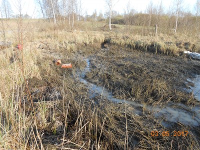 Пруд под пленкой- эксперимент онлайн и что получилось фото видеоотчет  - DSCN1899.JPG