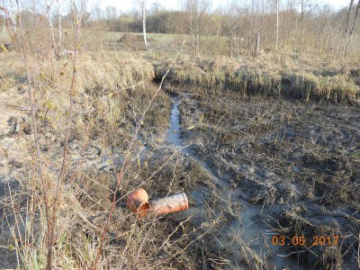 Пруд под пленкой- эксперимент онлайн и что получилось фото видеоотчет  - DSCN1900.JPG