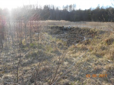DSCN1905.JPG