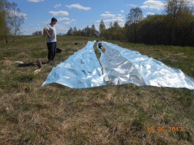 Пруд под пленкой- эксперимент онлайн и что получилось фото видеоотчет  - DSCN2086.JPG