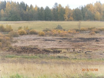 пруд 3 га - превращение из поля в водоем Или как бобры помогли в этом - PA080028.JPG