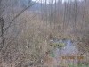 IMG_3436.JPG