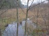 IMG_3448.JPG