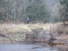 IMG_3455.JPG
