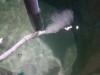 Водовоздушные эжекторы для аэрации воды - изготовление, эксперименты, теория - 20161123_130746.jpg (127.1 КБ) 9673 просмотра Водовоздушные эжекторы для аэрации воды - изготовление, эксперименты, теория - 20161123_130746.jpg