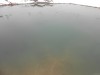 Родниковый пруд, или как случайно получить пруд с голубой водой - DSCN0090.JPG (57.92 КБ) 15506 просмотров Родниковый пруд, или как случайно получить пруд с голубой водой - DSCN0090.JPG