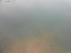 Родниковый пруд, или как случайно получить пруд с голубой водой - DSCN0092.JPG (48.1 КБ) 15506 просмотров Родниковый пруд, или как случайно получить пруд с голубой водой - DSCN0092.JPG