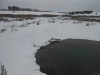 Родниковый пруд, или как случайно получить пруд с голубой водой - DSCN0094.JPG (97.79 КБ) 15506 просмотров Родниковый пруд, или как случайно получить пруд с голубой водой - DSCN0094.JPG