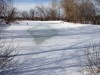 Дачный рыбовод. - IMG_3104.JPG (266.27 КБ) 5009 просмотров Дачный рыбовод. - IMG_3104.JPG