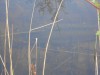DSCN0222.JPG