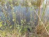DSCN0223.JPG