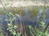 DSCN0224.JPG