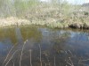 DSCN0227.JPG