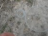 DSCN0189.JPG