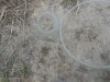 DSCN0190.JPG