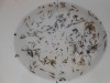 DSCN0228.JPG