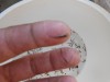 DSCN0230.JPG