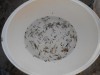 DSCN0233.JPG