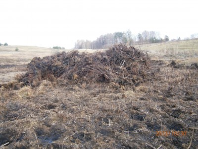 пруд 3 га - превращение из поля в водоем Или как бобры помогли в этом - PA300058.JPG