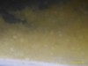 P_20180512_182707_p.jpg