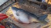 20180615_045549.jpg