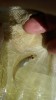IMG_20180618_105624.jpg