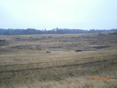 пруд 3 га - превращение из поля в водоем Или как бобры помогли в этом - PC040038.JPG