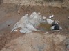Общий вид приямка, где работал - DSCN0387.JPG (232.35 КБ) 107 просмотров Общий вид приямка, где работал - DSCN0387.JPG