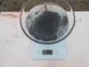 Подращивание европейского сома с 0.5 грамма 3-4 см до 5-10 грамм 10 см  - DSCN0397.JPG