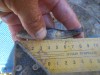 DSCN0460.JPG