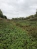 Тамбовская область, старый пруд 0.76 га. Востановление - 6C897045-33EA-4124-B5A1-C25339C9D859.jpeg (176.9 КБ) 5574 просмотра Тамбовская область, старый пруд 0.76 га. Востановление - 6C897045-33EA-4124-B5A1-C25339C9D859.jpeg