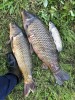 31C3C99F-1230-4E46-91FD-ECB99FC51466.jpeg