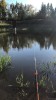 03D6761B-2FD1-4B05-A048-63CC09B48B89.jpeg