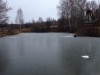Дачный рыбовод. - IMG_3855.JPG
